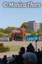 sboko horse * 392 x 591 * (52KB)